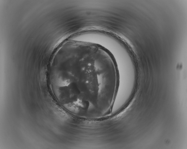 X0000091960921200709201340