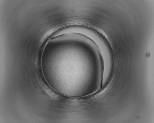 X0000091960922200709201340