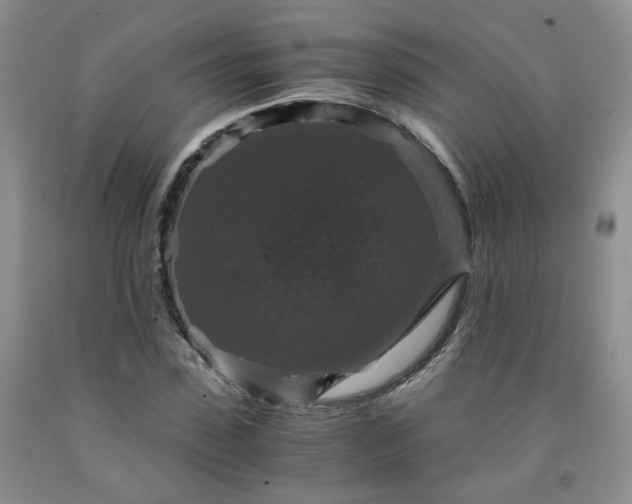 X0000091960923200709201340