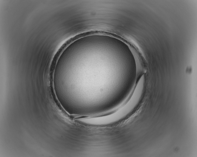 X0000091960924200709201340