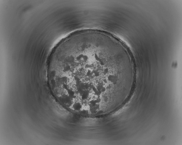 X0000091960925200709201340