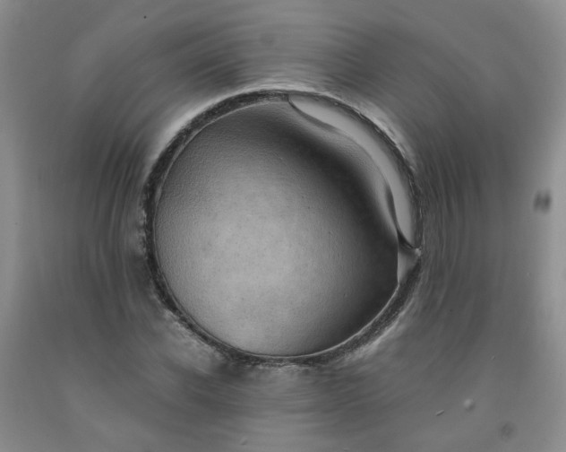 X0000091960926200709201340