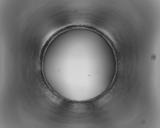 X0000091960927200709201340