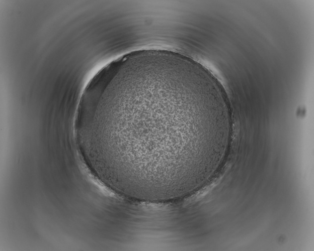 X0000091960928200709201340