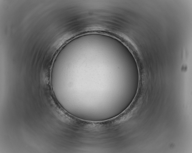 X0000091960929200709201340