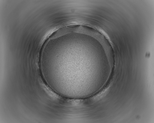 X0000091960930200709201340