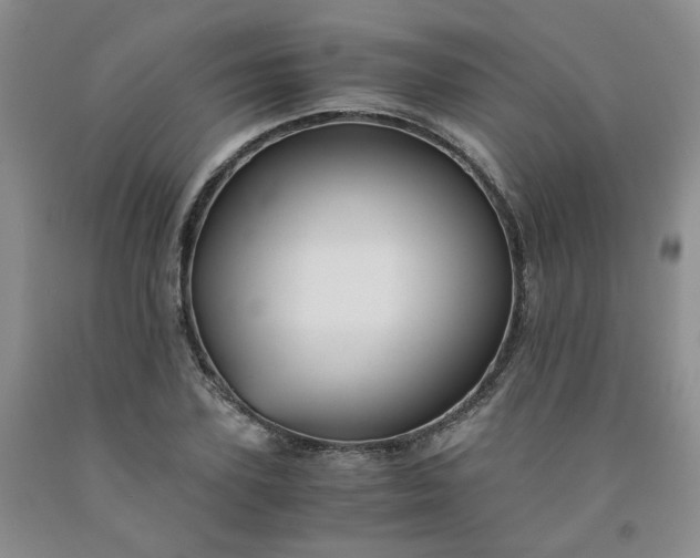 X0000091960931200709201340