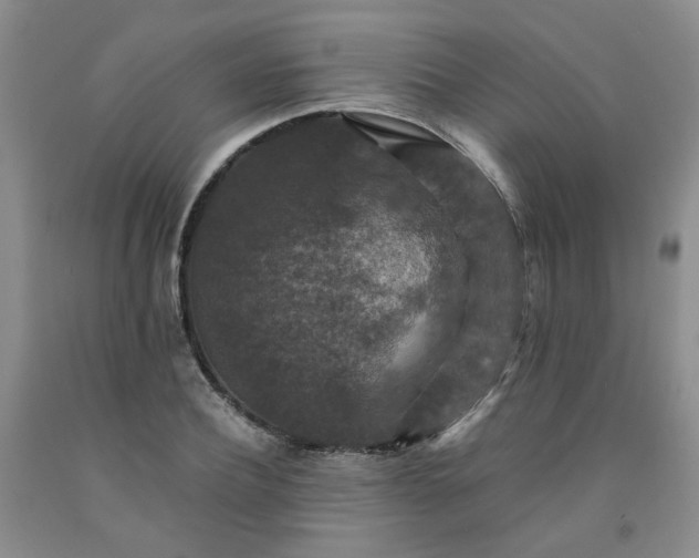 X0000091960932200709201340