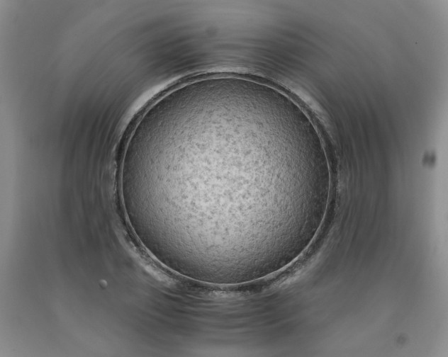 X0000091960933200709201340