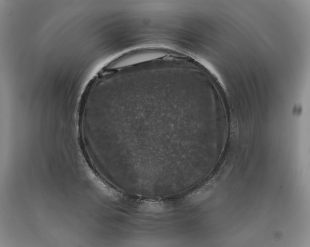 X0000091960935200709201340