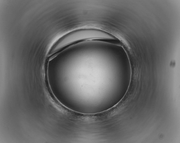 X0000091960936200709201340