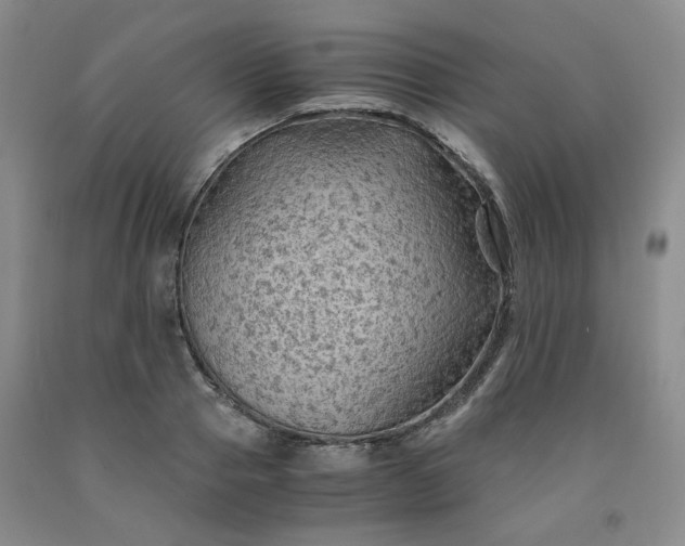 X0000091960937200709201340