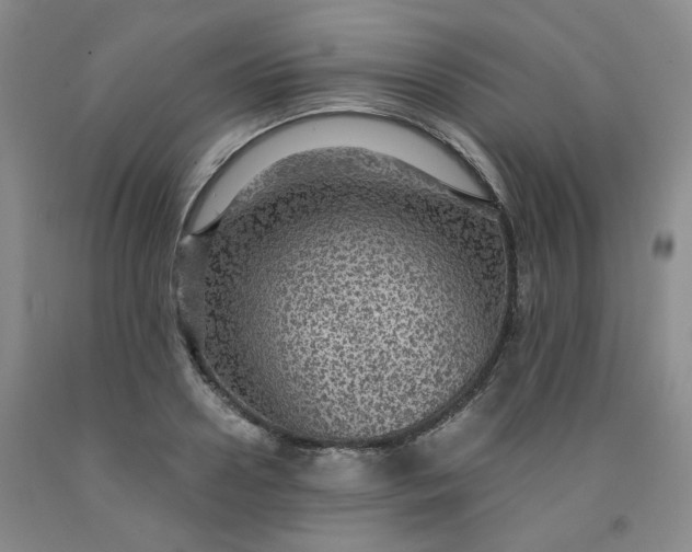 X0000091960938200709201340