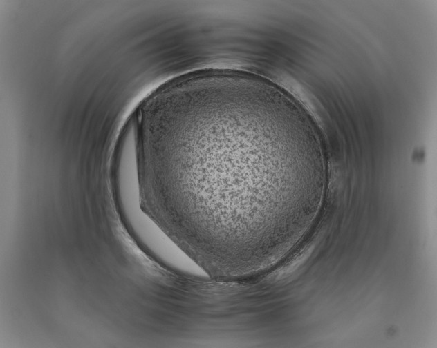 X0000091960939200709201340