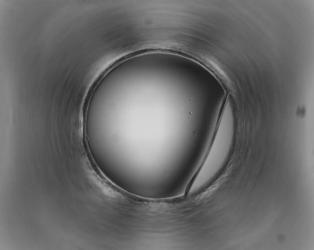 X0000091960940200709201340