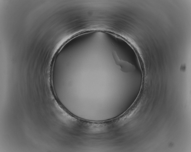 X0000091960941200709201340