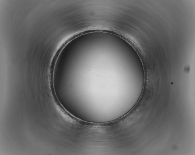 X0000091960942200709201340