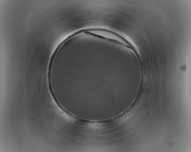 X0000091960943200709201340