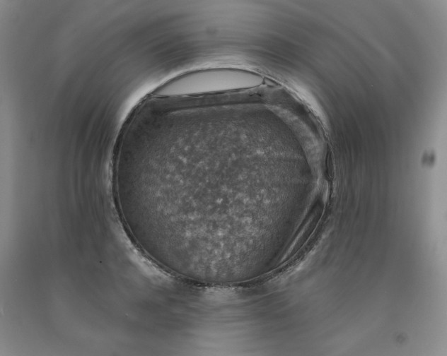 X0000091960944200709201340