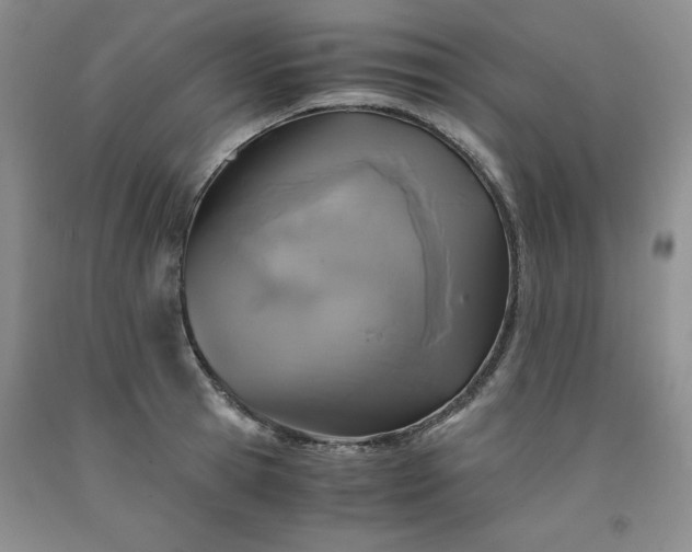 X0000091960945200709201340