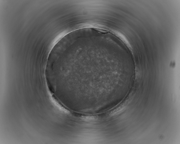 X0000091960946200709201340