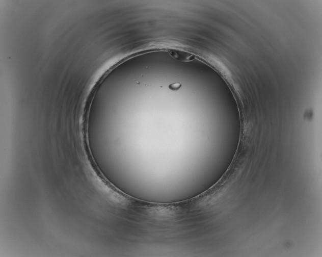 X0000091960947200709201340