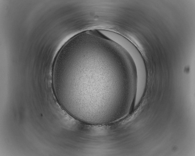 X0000091960948200709201341