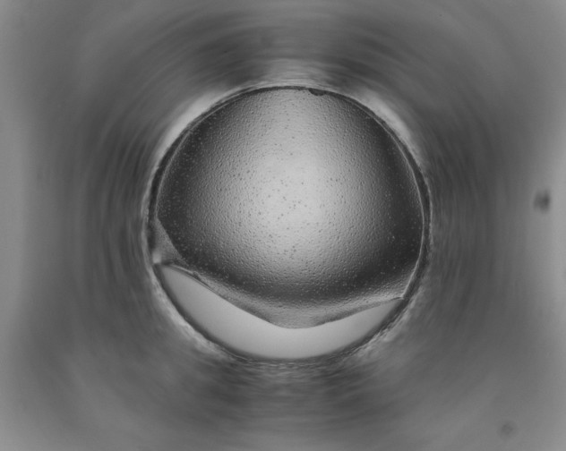 X0000091960949200709201341