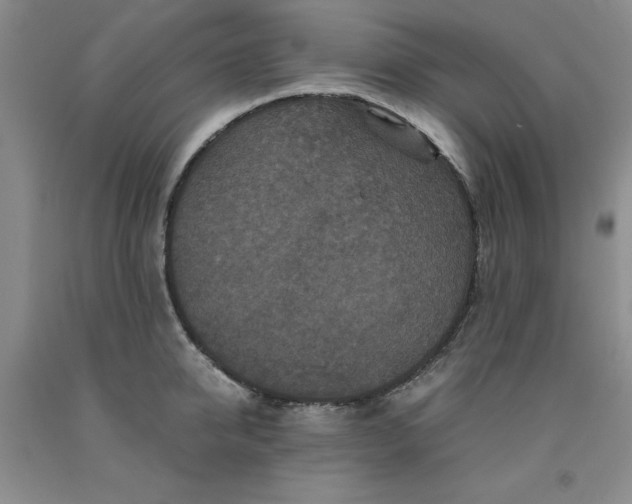 X0000091960950200709201341