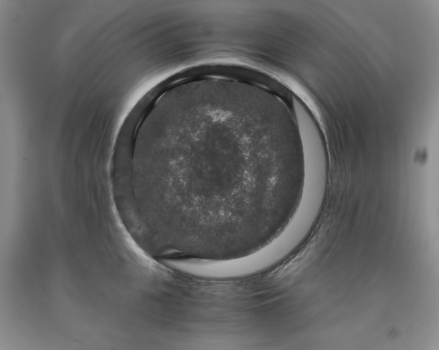 X0000091960951200709201341