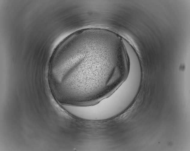 X0000091960952200709201341