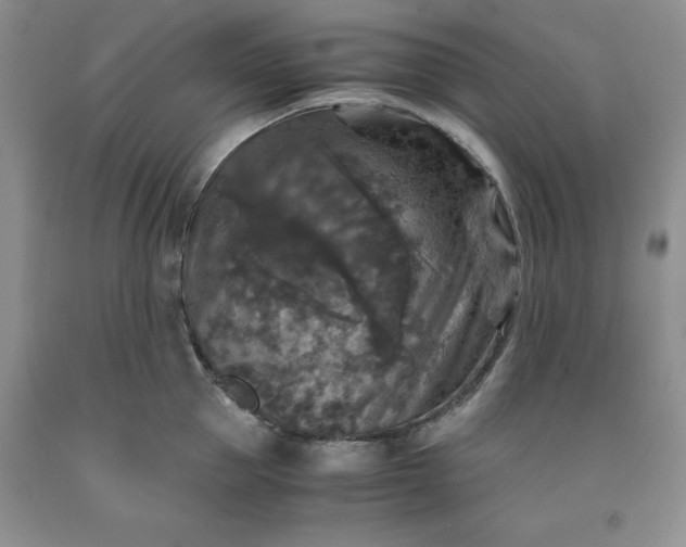 X0000091960953200709201341