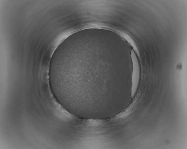 X0000091960954200709201341