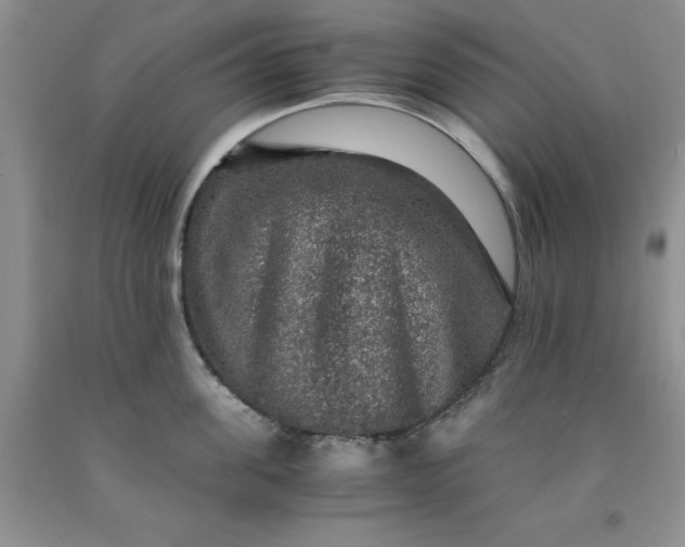 X0000091960955200709201341