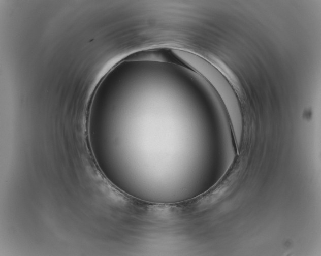 X0000091960956200709201341