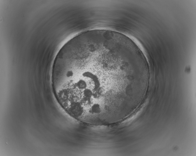 X0000091960957200709201341