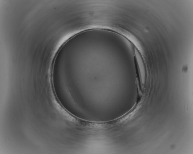 X0000091960958200709201341