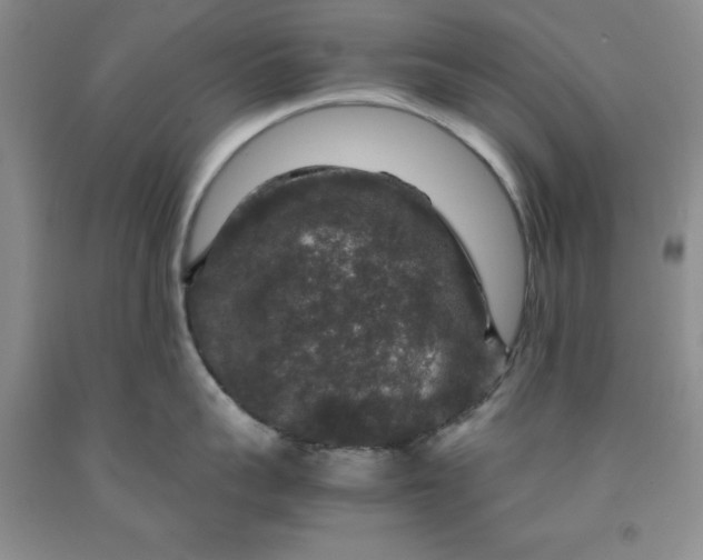 X0000091960959200709201341