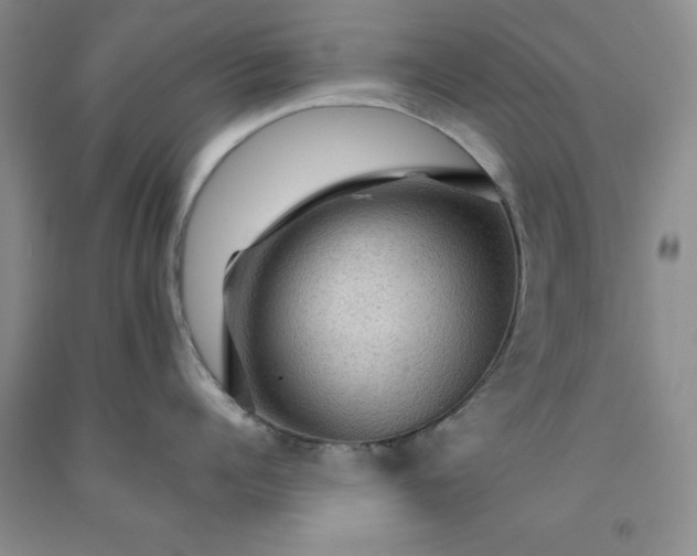 X0000091960960200709201341