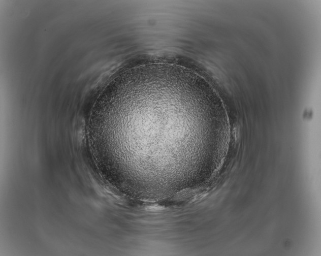 X0000091960963200709201340