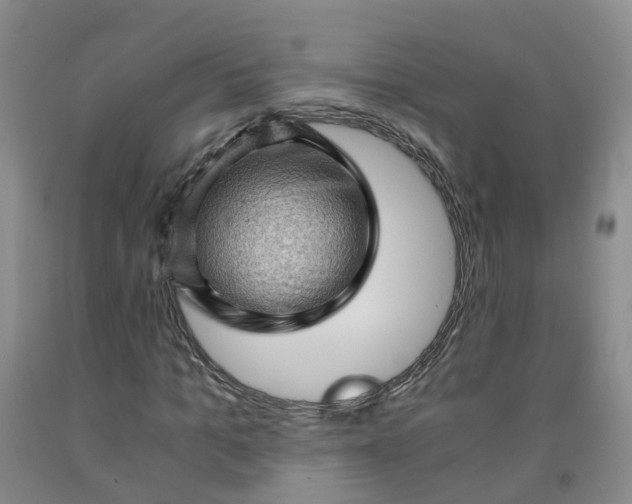 X0000091960965200709201340