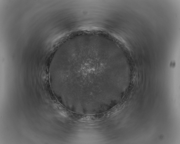 X0000091960966200709201340