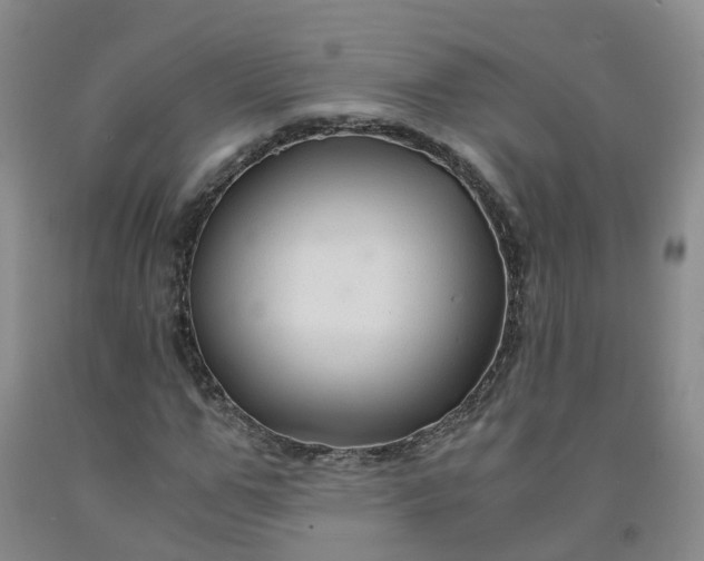 X0000091960967200709201340