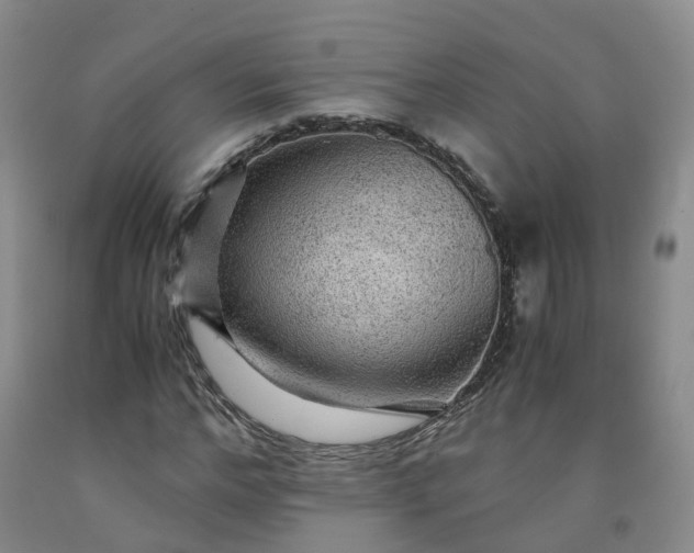 X0000091960968200709201340