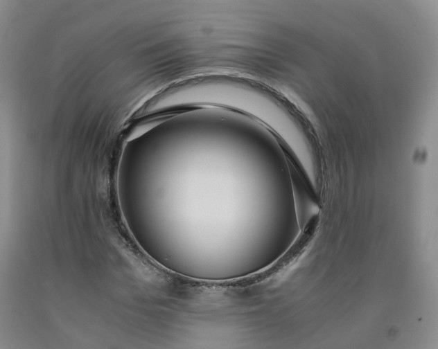 X0000091960969200709201340