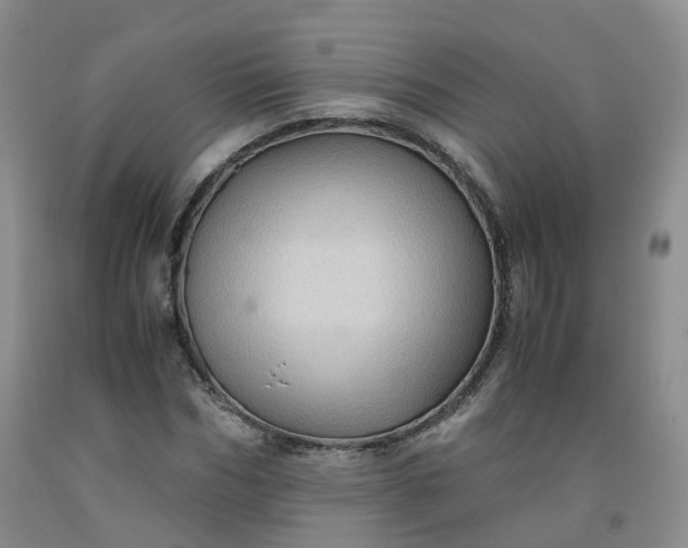 X0000091960970200709201340