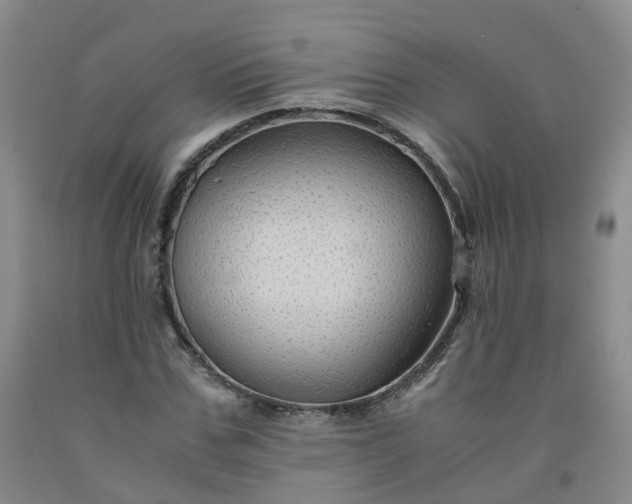 X0000091960971200709201340