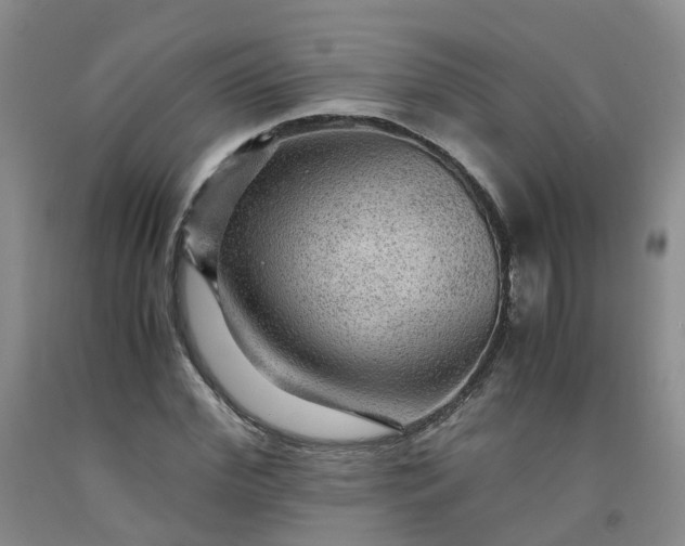 X0000091960972200709201340