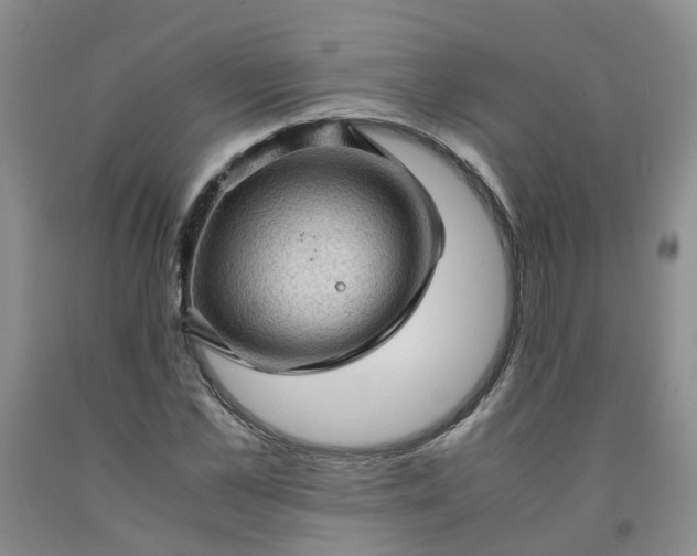 X0000091960973200709201340