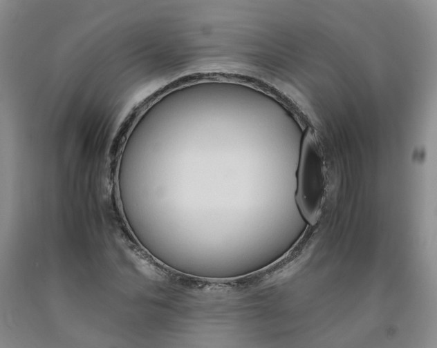 X0000091960974200709201340